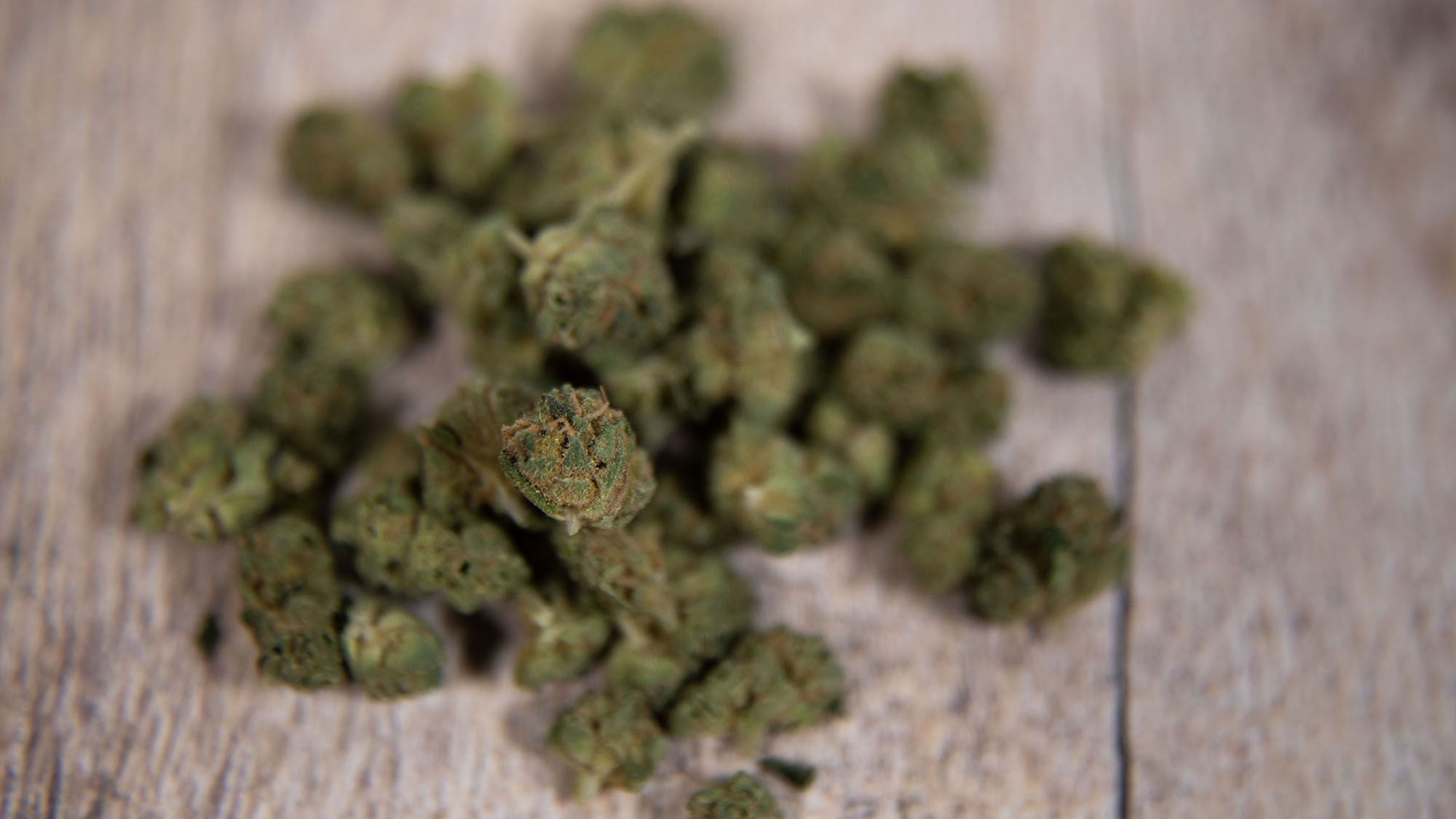 Cannabis and Neurological Disorders: Exploring the Therapeutic Potential